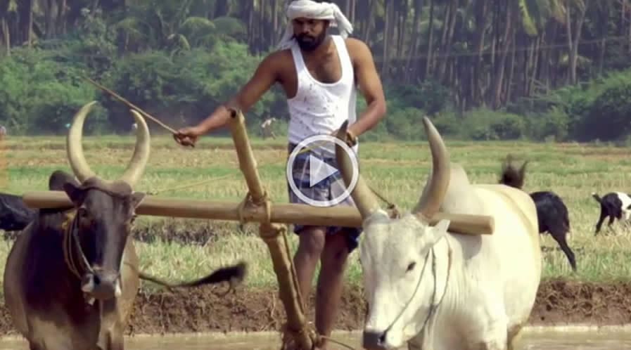  Best Wedding photographers in Attur,Best wedding photography in  Attur, Best Candid photographers in  Attur, Best wedding candid photographers in Attur, Best wedding candid photography in Attur, Best Photographers in Attur, Best Marraige photographers in  Attur.Best Marriage photography in Attur,Best Photography in  Attur, Best wedding video in  Attur, Best wedding videography in  Attur, Best Helicam operator in  Attur, Best Drone  Operator, Best wedding studio in  Attur, Best proffesional photographers in  Attur, No.1 Wedding Photographers in Attur, No.1 wedding photography in  Attur,  Attur wedding photographers,  Attur wedding photography,  Attur wedding Videos.
Best Wedding photographers in Mettur,Best wedding photography in  Mettur, Best Candid photographers in  Mettur, Best wedding candid photographers in Mettur, Best wedding candid photography in Mettur, Best Photographers in Mettur, Best Marraige photographers in Mettur.Best Marriage photography in Mettur,Best Photography in  Mettur, Best wedding video in  Mettur, Best wedding videography in  Mettur, Best Helicam operator in  Mettur, Best proffesional photographers in  Mettur, No.1 Wedding Photographers in Mettur, No.1 wedding photography in Mettur,Best Wedding photographers in Thalaivasal,Best wedding photography in Thalaivasal, Best Candid photographers in Thalaivasal, Best wedding candid photographers in Thalaivasal, Best wedding candid photography in Thalaivasal, Best Photographers in Thalaivasal, Best Marraige photographers in Thalaivasal.Best Marriage photography in Thalaivasal,Best Photography in  Thalaivasal, Best wedding video in  Thalaivasal, Best wedding videography in  Thalaivasal, Best Helicam operator in Thalaivasal,  Best proffesional photographers in  Thalaivasal, No.1 Wedding Photographers in Thalaivasal, No.1 wedding photography in Thalaivasal,Best Wedding photographers in Sangagiri,Best wedding photography in Sangagiri, Best Candid photographers in Sangagiri, Best wedding candid photographers in Sangagiri, Best wedding candid photography in Sangagiri, Best Photographers in Sangagiri, Best Marraige photographers in Sangagiri.Best Marriage photography in Sangagiri,Best Photography in Sangagiri, Best wedding video in  Sangagiri, Best wedding videography in  Sangagiri, Best Helicam operator in Sangagiri, Best wedding studio in Sangagiri, Best proffesional photographers in  Sangagiri, No.1 Wedding Photographers in Sangagiri, No.1 wedding photography in Sangagiri,Best Wedding photographers in Yercaud,Best wedding photography in Yercaud, Best Candid photographers in Yercaud, Best wedding candid photographers in Yercaud, Best wedding candid photography in Yercaud, Best Photographers in Yercaud, Best Marraige photographers inYercaud.Best Marriage photography in Yercaud,Best Photography in Yercaud, Best wedding video in  Yercaud, Best wedding videography in  Yercaud, Best Helicam operator in Yercaud, Best wedding studio in Yercaud, Best proffesional photographers in  Yercaud, No.1 Wedding Photographers in Yercaud, No.1 wedding photography in Yercaud,Best Wedding photographers in tamilnadu,Best wedding photography in tamilnadu, Best Candid photographers in tamilnadu, Best wedding candid photographers in tamilnadu, Best wedding candid photography in tamilnadu, Best Photographers in tamilnadu, Best Marraige photographers in tamilnadu.Best Marriage photography in tamilnadu,Best Photography in tamilnadu, Best wedding video in  tamilnadu, Best wedding videography in  tamilnadu, Best Helicam operator in tamilnadu,  Best wedding studio in tamilnadu, Best proffesional photographers in  tamilnadu, No.1 Wedding Photographers in tamilnadu, No.1 wedding photography in tamilnadu,Best Wedding photographers in Salem,Best wedding photography in Salem, Best Candid photographers in Salem, Best wedding candid photographers in Salem, Best wedding candid photography in Salem, Best Photographers in Salem, Best Marraige photographers in Salem.Best Marriage photography in Salem,Best Photography in Salem, Best wedding video in  Salem, Best wedding videography in  Salem, Best Helicam operator in Salem, Best wedding studio in Salem, Best proffesional photographers in Salem, No.1 Wedding Photographers in Salem, No.1 wedding photography in Salem.